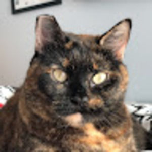 Meet your Posher, Ian